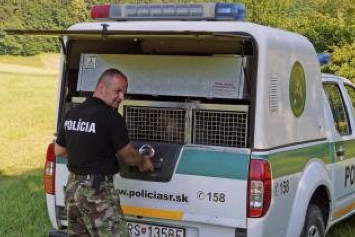 Ilustračný obrázok k článku Muži zákona v Národnom parku: Muránsku planinu obsadili policajti aj so psami