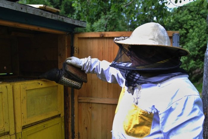Ilustračný obrázok k článku Spišský včelár prezradil zaujímavosti z brandže: Aký je najkvalitnejší med?