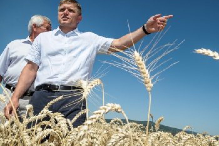 Ilustračný obrázok k článku Premiér Fico v Nevericiach: Dobrá úroda môže priniesť zníženie cien potravín