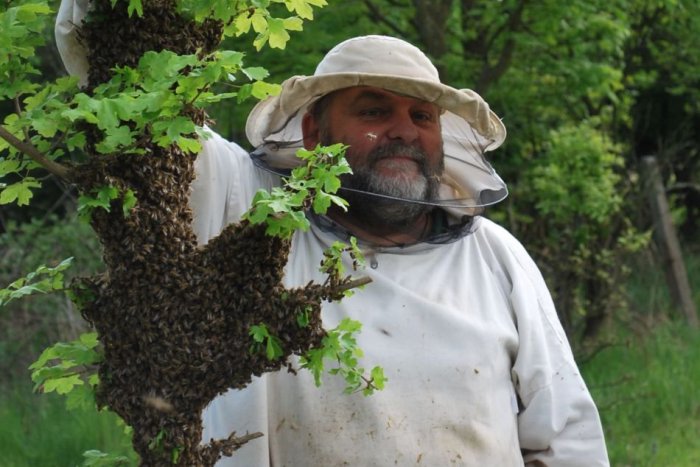 Ilustračný obrázok k článku Zlatomoravský včelár prezradil zaujímavosti z brandže: Aký je najkvalitnejší med?