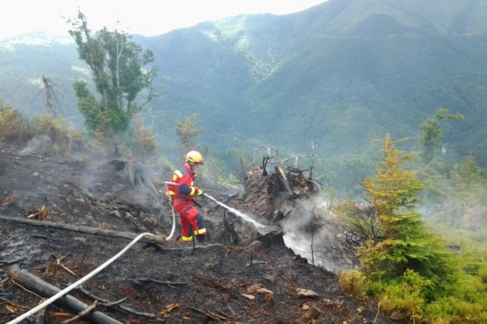 Ilustračný obrázok k článku Veľký požiar v lese pri Brezne: Pozrite si fotky priamo z miesta boja s ohňom