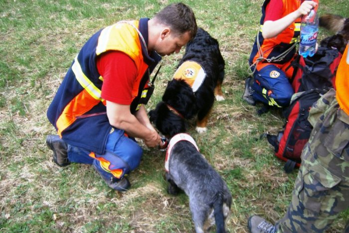 Ilustračný obrázok k článku Záchranári, psovodi aj dobrovoľníci hľadali v lese nezvestnú ženu