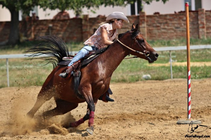 Ilustračný obrázok k článku Kone, slnko a poriadna zábava: Westernové preteky sa vydarili