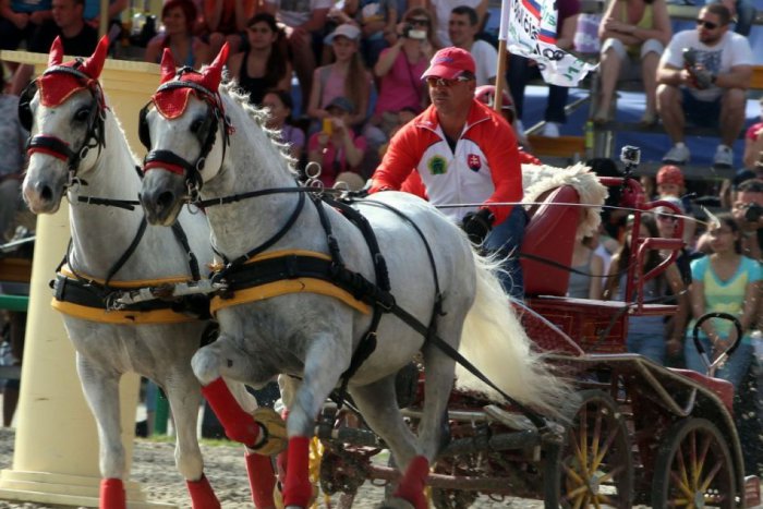 Ilustračný obrázok k článku Svetový šampionát v Topoľčiankach: Tešte sa na 76 naj jazdcov zo sveta a 228 koní