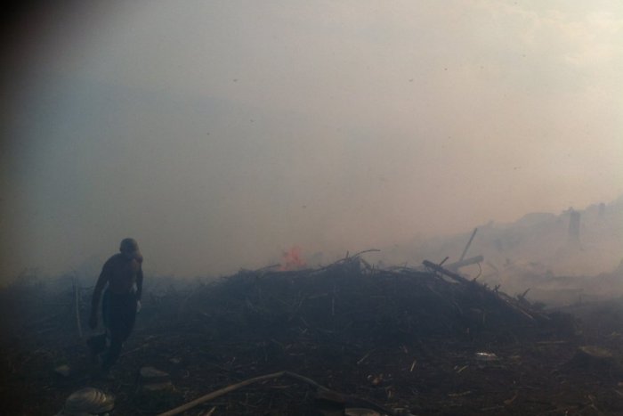 Ilustračný obrázok k článku Ohnivá dráma: Horí sedem hektárov lesa, hasiči budú bojovať s plameňmi aj v noci!