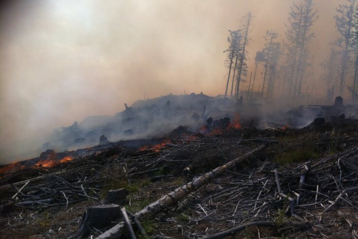 Ilustračný obrázok k článku EXKLUZÍVNE FOTO: Veľký požiar lesa pri Betliari, zasahujú aj vrtuľníky!