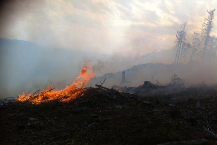 Ilustračný obrázok k článku Požiar lesa pri Betliari: Hasičov zrejme čaká celodenný boj!