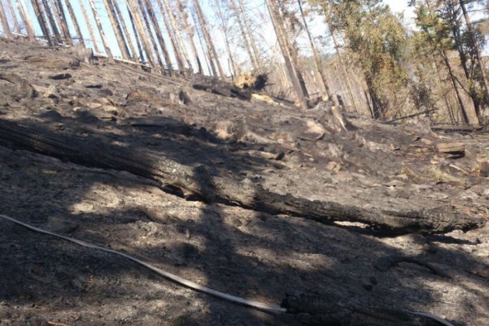 Ilustračný obrázok k článku Likvidácia ohnísk môže trvať niekoľko dní: Hasičom by pomol výdatný dážď