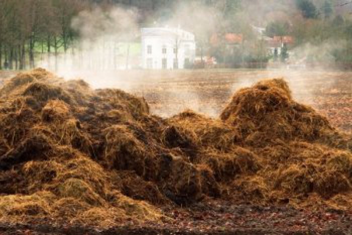 Ilustračný obrázok k článku Zápach a extrémne teplo: Hnojenie obťažuje Topoľčancov