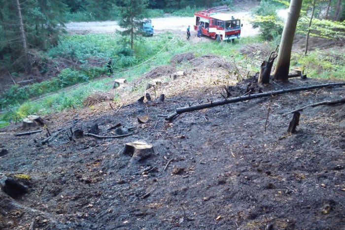 Ilustračný obrázok k článku Lesný porast horel aj v Slavošovciach: Na pomoc prišla aj jednotka z Plešivca