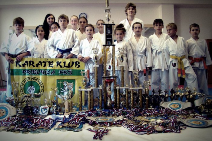 Ilustračný obrázok k článku Karate FKŠ oslavuje: Na športovej scéne pôsobí už 15 rokov!