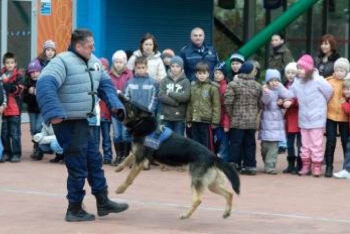 Ilustračný obrázok k článku Ministerstvo vnútra deťom: V letnom tábore na Duchonke si pre ne pripravilo zaujímavý program