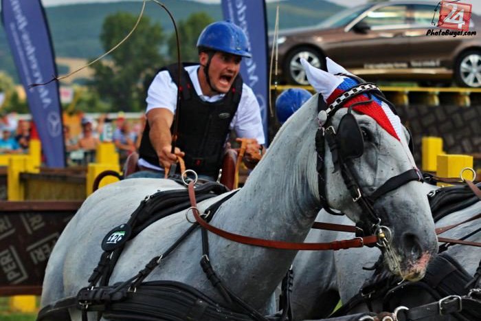 Ilustračný obrázok k článku Emócie na Majstrovstvách sveta v Topoľčiankach: Súťažiaci na maratóne vydali zo seba všetko!