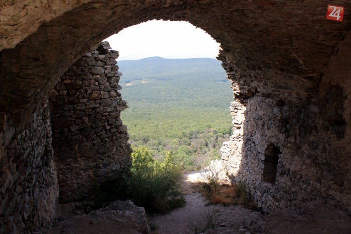 Ilustračný obrázok k článku TIP na výlet: Pod zrúcaninou hradu stojí najstaršia gaštanica na Slovensku