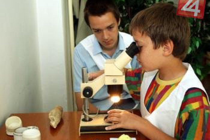 Ilustračný obrázok k článku Spoznajte históriu Bystrice uchovanú v kameni: Fosílie rastlín a živočíchov, praveký život regiónu