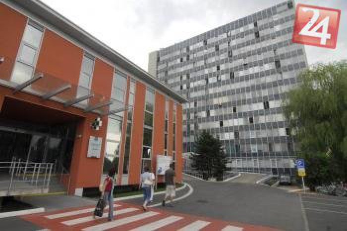 Ilustračný obrázok k článku Odvádzajú vynikajúcu prácu: Títo košickí doktori patria medzi TOP lekárov na Slovensku!