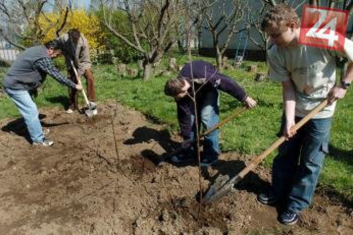 Ilustračný obrázok k článku Pôsobivý projekt pri Levoči: V škole vyrastie záhrada, v ktorej sa bude učiť!
