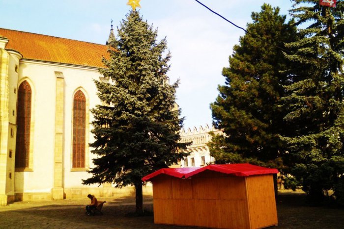 Ilustračný obrázok k článku V meste už stojí vianočný stromček: Utešená jedlička bude bojovať o naj strom týchto sviatkov!