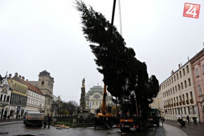 Ilustračný obrázok k článku V Košiciach už stojí vianočný stromček: O tú pravú atmosféru sa tento rok postará 22-metrový smrek