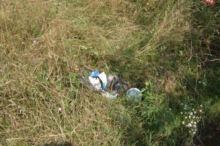 Ilustračný obrázok k článku Prales za sídliskom Juh: Zmení sa na obytnú zónu?