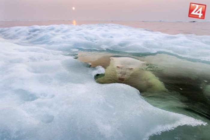 Ilustračný obrázok k článku Najlepšie fotografie roka podľa National Geographic