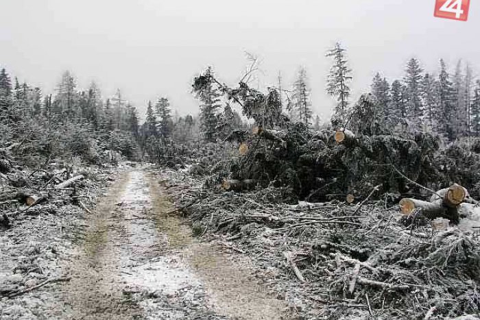 Ilustračný obrázok k článku Na niektoré tatranské chaty sa nedostanete, budú odstraňovať spadnuté stromy