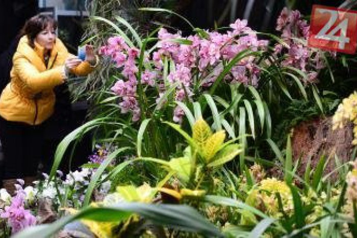 Ilustračný obrázok k článku Problém s pozemkami v Botanickej záhrade už má riešenie: Bude stáť 3 milióny eur...