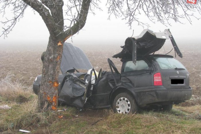 Ilustračný obrázok k článku Medzi dedinami došlo k cestnej tragédii: Ľubomír (†45) vrazil fabiou do stromu, na mieste bol mŕtvy!