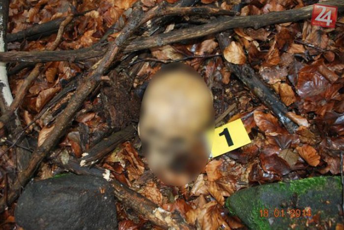 Ilustračný obrázok k článku Desivý objav mladíka počas prechádzky: V lese našiel ľudskú lebku!