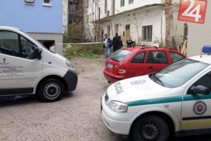 Ilustračný obrázok k článku Mladík chcel kradnúť v záhradkárskych potrebách: Vyrušil ho alarm