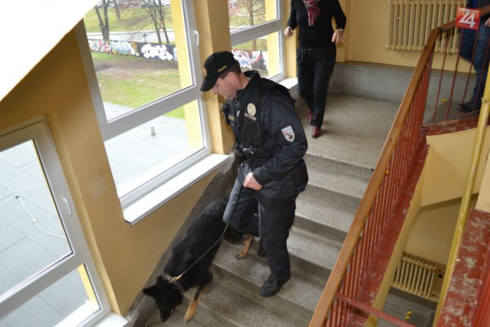 Ilustračný obrázok k článku Na školách prebehli protidrogové prehliadky: Policajti so psami prehľadávali triedy aj šatne!