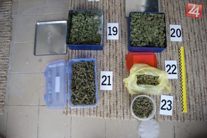 Ilustračný obrázok k článku Muž v Dvoroch nad Žitavou pestoval drogy: Zadržali ho colníci a policajti v Nových Zámkoch