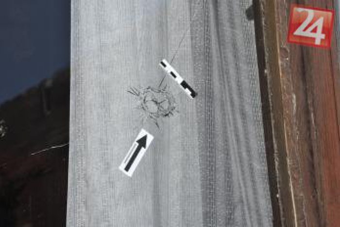 Ilustračný obrázok k článku Streľba v Košiciach: Policajti ženu chránili pred agresívnym psom, guľka zasiahla aj ju!