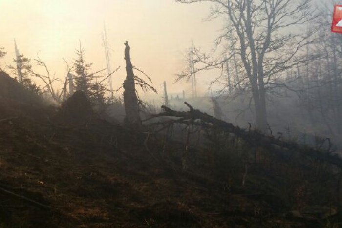 Ilustračný obrázok k článku Pri Betliari opäť horí les: Hasiči sa snažia dostať oheň pod kontrolu