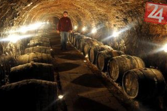 Ilustračný obrázok k článku Pod Hlavnou ulicou vznikne atraktívne múzeum: Na svoje si prídu všetci milovníci parádneho vína!