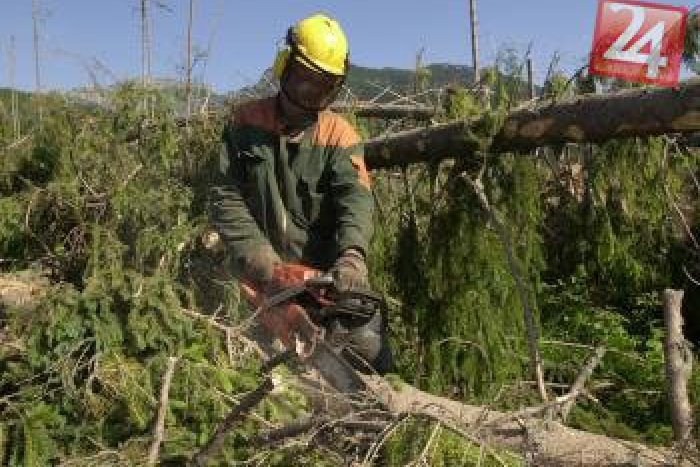 Ilustračný obrázok k článku Nové skutočnosti v prípade zabitého lesného robotníka (†29): Polícia obvinila pilčíka