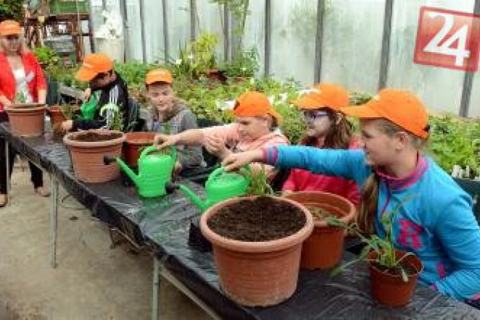 Ilustračný obrázok k článku Botanická záhrada patrila vyše dvesto žiakom: Riešili problémové úlohy z biológie