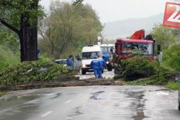 Ilustračný obrázok k článku Dramatická situácia v Revúcej a okolí: Popadané stromy a vietor stále neustáva