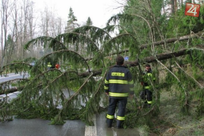 Ilustračný obrázok k článku Hasiči v kraji mali plné ruky práce: Vietor vyvracal stromy a poškodil strechy domov