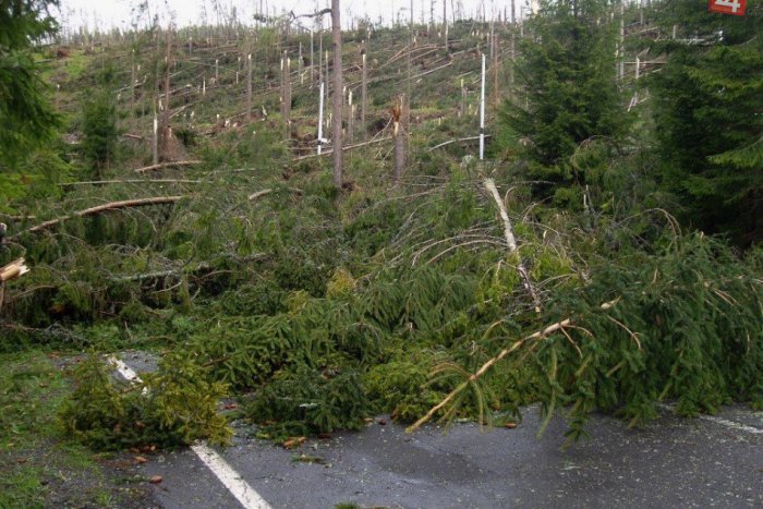 Ilustračný obrázok k článku Silný vietor v TANAP-e zanechal spúšť: Za obeť mu padlo vyše 5 tisíc stromov