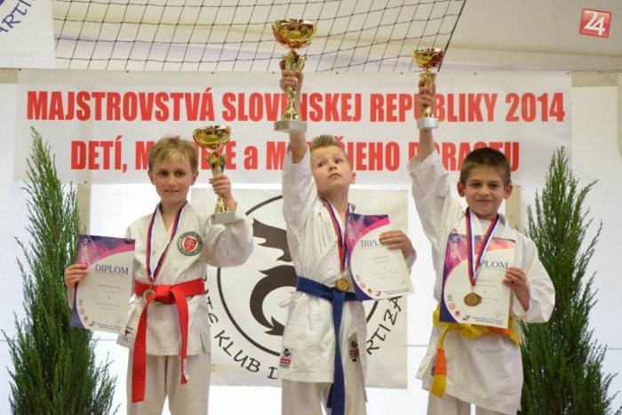 Ilustračný obrázok k článku Skvelé výsledky v karate jednotlivcov: Prievidza má majstra Slovenska!