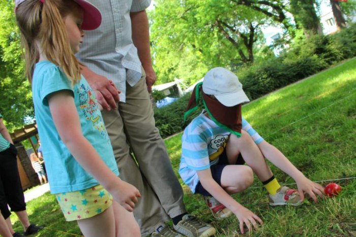 Ilustračný obrázok k článku Súťaže, hry a zábava: Nitra si užila Deň rodiny