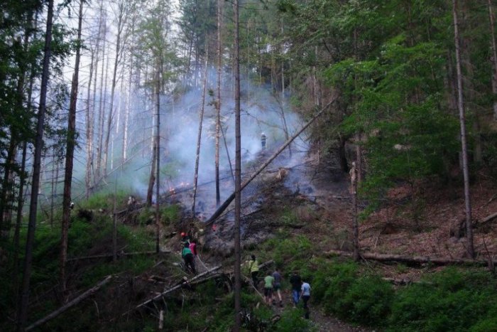 Ilustračný obrázok k článku OBRAZOM: Hasiči si museli poradiť s lesným požiarom v Slavošovciach