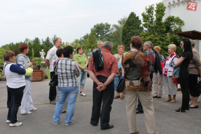 Ilustračný obrázok k článku Seniorské aktivity v Mlyňanoch: Zaujímavé výstavy a dobré vínko potešili každého