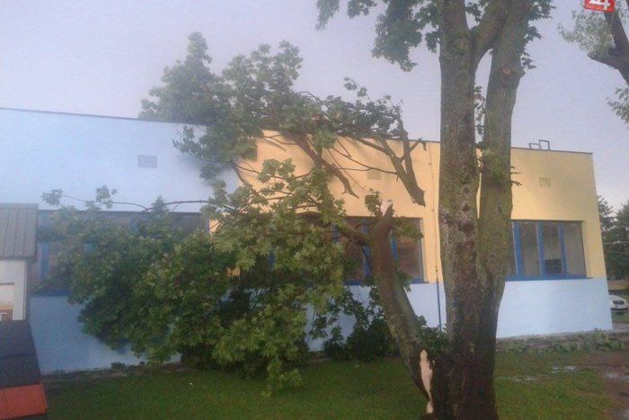 Ilustračný obrázok k článku Na Košice udrelo divoké počasie: Búrka s vetriskom lámala stromy, strhlo aj strechu!
