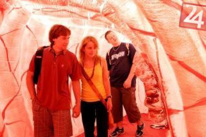 Ilustračný obrázok k článku Prechádzka v hrubom čreve? V Košiciach sa začne netradičná kampaň proti rakovine