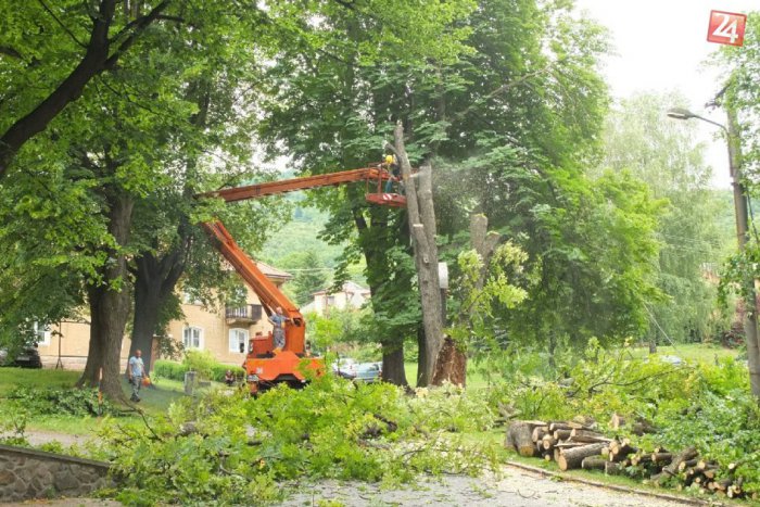 Ilustračný obrázok k článku Starý gaštan pri hrade nevydržal nápor: Pozrite FOTO ako zrámoval elektrické stĺpy, odnieslo si to aj auto!