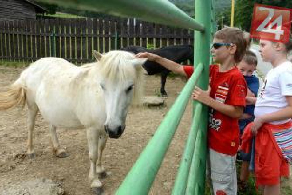 Ilustračný obrázok k článku Odvážny nápad michalovskej radnice: V meste ešte nemáme zoo!