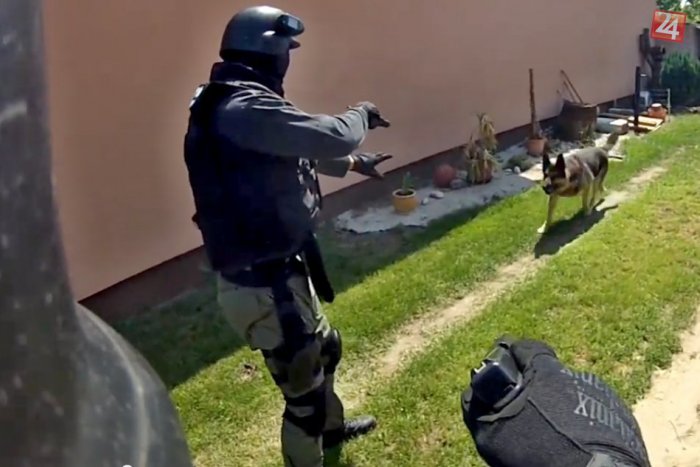 Ilustračný obrázok k článku Polícia zhabala 4000 dávok trávy a zadržala dílerov: Toto je video priamo zo zásahu!