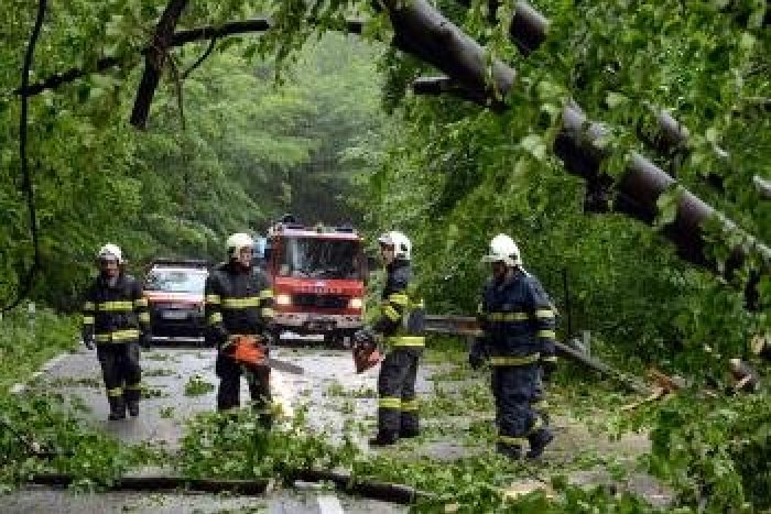 Ilustračný obrázok k článku Búrka postavila do pozoru hasičov zo Spišskej: Silný vietor zhadzoval stromy!